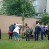 Ünnepélyes faültetés