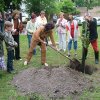 Ünnepélyes faültetés