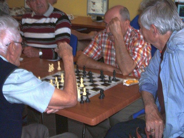 Lólépésben - sakkverseny